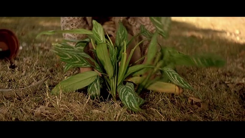 关于这个杀手不太冷的问题