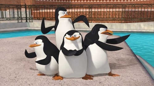 The penguins of Madagascar!