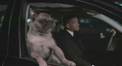 <em>黑超特警组2</em>的那只炫狗~\(≧▽≦)/~ 像电影里