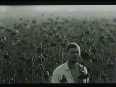 《Mondo Bobo》(1997,克罗地亚) - auess - Cancionero del cine 《Mondo Bobo》(1997,克罗地亚) - auess - Cancionero del cine