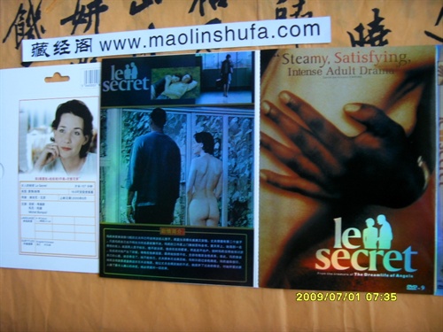 《女人的秘密:爱抚 卖百科全书的女人》,朴实无