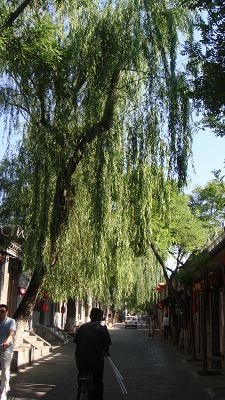 我的<em>北京地图</em>之南锣鼓巷·印象 拍客·生活照
