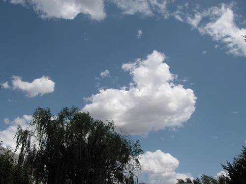 生命终究难舍蓝蓝的白云天是什么歌