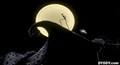 ANIMATION DEVOTION