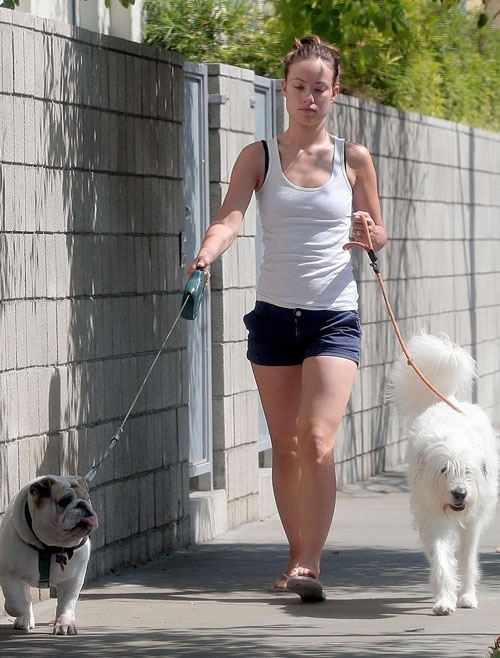 组图:欧美明星最新街拍集锦(20090817)