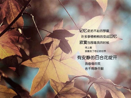 <em>做个幸福的笨女人</em> (转) 歪不拉叽 傻不拉嘻 瓜瓜