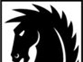 dark horse