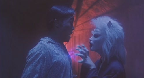 [观影记录] 《凶猫》(1986)