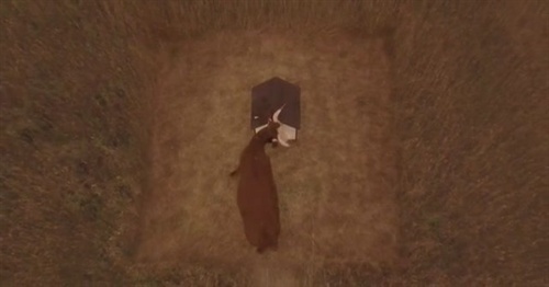 [看图猜电影] 大杂烩 自刎 Movie Lotto 电影