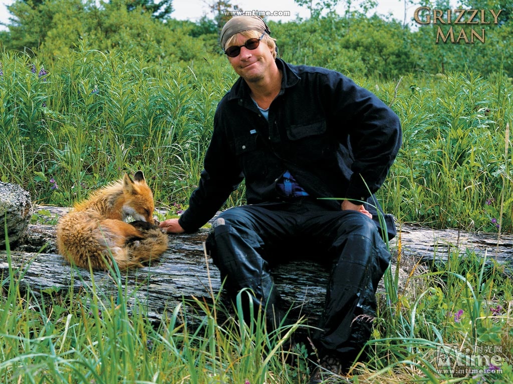 对电影《灰熊人》的一句话影评