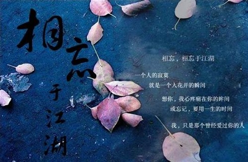 心便欢喜,一天都觉得暖暖的,唯有期望这份友谊长存,一直觉得大家相交
