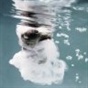 Zena Holloway