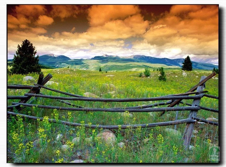 远离尘嚣的纯净之美 虾米 电影