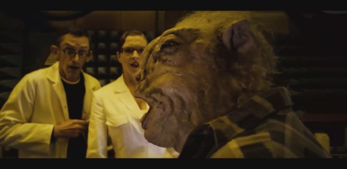 谨以截图纪念疯了的羊。。。