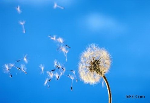 [经典]电影生命因你而动听插曲:yesterday onc