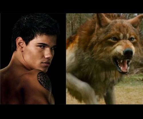 jacob black 在《暮光之城》第二部中,贝拉想更深入的了解吸血