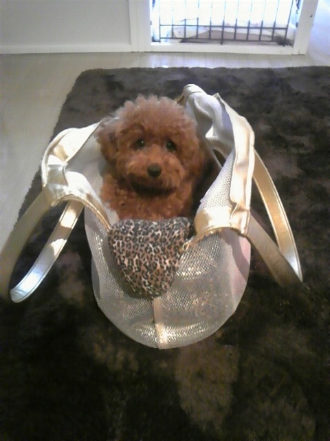 <em>松岛枫</em>生活照+珍藏