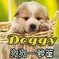 ๑๑狗狗一箩筐♥DOGGY๑๑