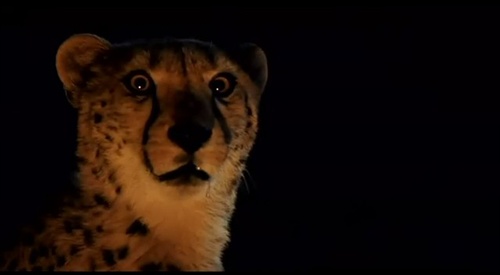 【看图猜电影】《神曲》地狱篇 ++图