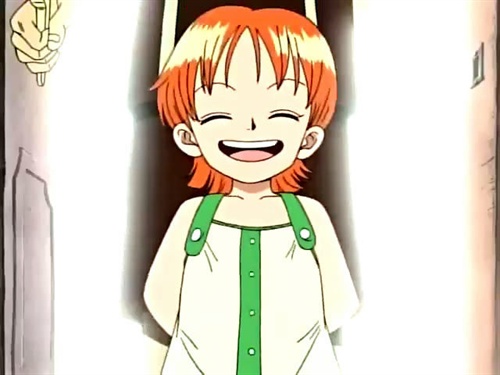 海贼王之娜美篇(娜美图秀)