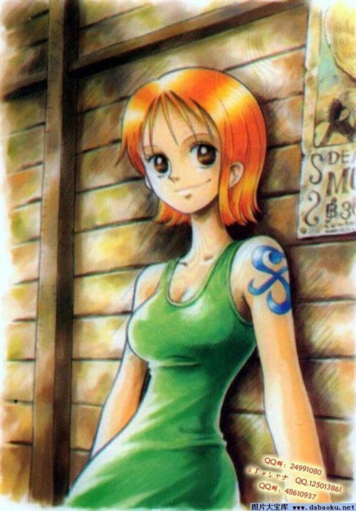 海贼王之娜美篇(娜美图秀)