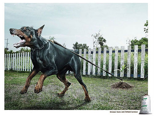 精典创意,思维的立体和想象空间 Summer Zon