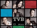 我的TVB