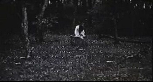 十年恶梦今朝醒---纪念个人观《午夜凶铃》十周年! - 《午夜凶铃