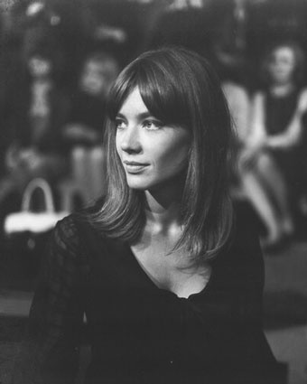 纯净的声音(法语)——francoise hardy