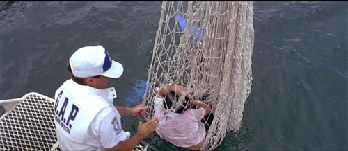 《蓝海美人acri》(1996)揭开一段神秘离奇的人