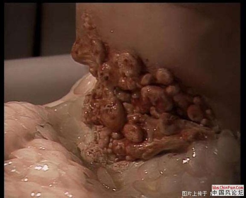 说出你眼里的【重口味】级好电影 天堂电影小组