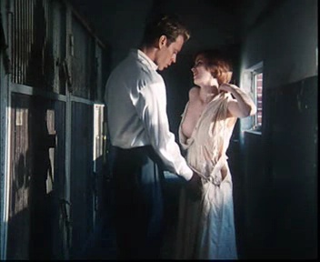 人猿泰山+好莱坞完全电影手册