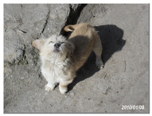 大三暑假放假在家,不知道干什么,同学们在家都