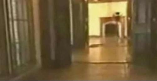 09年难以解释的怪异现象。 我就是喜欢稀奇古