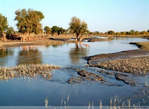 【怀念战友】 – 《冰山上的来客》影评