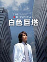 白色巨塔/The Hospital
