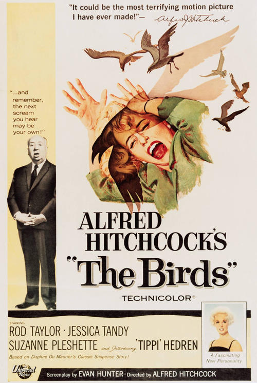 群鸟/The Birds(1963) 电影图片 海报 #01 大图 642X992