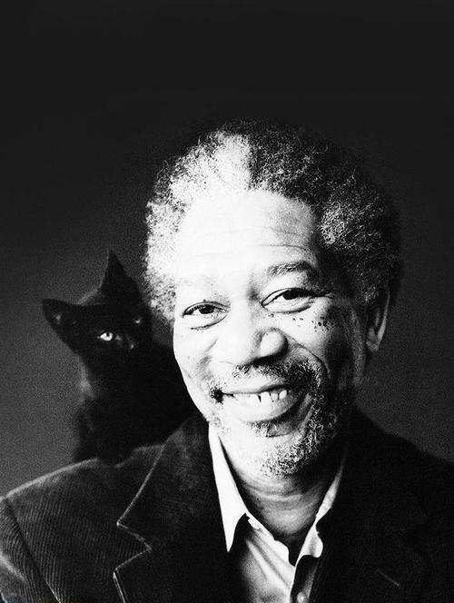 摩根·弗里曼 Morgan Freeman 写真 #01