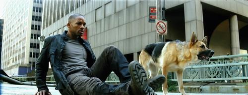 我是传奇/I Am Legend(2007) 电影图片 剧照 #05 大图 1920X742