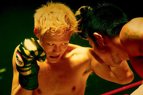 军鸡/Shamo(2007) 电影图片 剧照 #01 大图 500X321