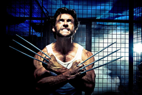 X战警前传：金刚狼/Wolverine(2008) 电影图片 剧照 #01 大图 490X327