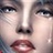 无心 2234102