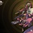 sory de　错 1623068