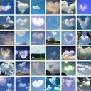 happydodo 1519084