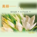 屰·溡針 1588109