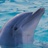 欧阳海潮 1085119