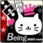 爱兔子的猫 970113