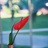 郭靖他叔 879183