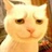 威武的大猫