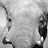 Whisper_LJ